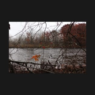 Water Picture In Michigan Woods T-Shirt