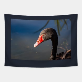 Head and neck of Black swan. Tapestry