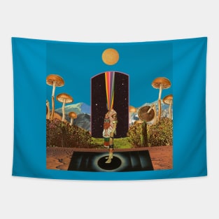 Galactic Mirage Discs II Tapestry