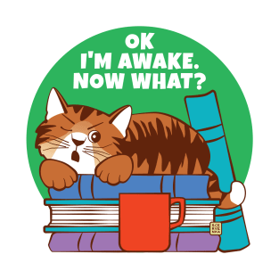 I'm Awake Now What Grouchy Sleeping Cat T-Shirt