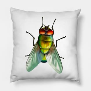 Your household fly. Can be annoying, but is surprisingly colourful. With beautiful metallic hues of green, gold and blue Pillow