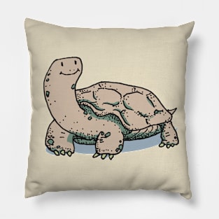 Tortoise Pillow