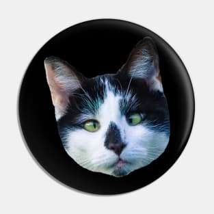 Funny Cat Head Pin