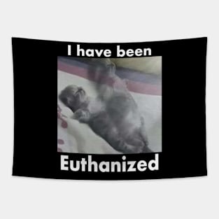 I Have Been Euthanized Funny Cat Meme Tapestry