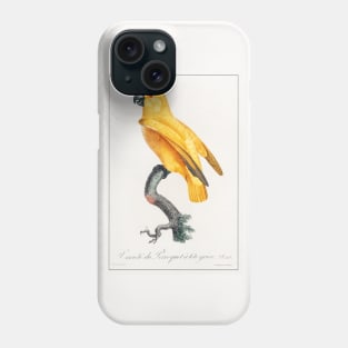 Senegal Parrot (1801—1805) Phone Case