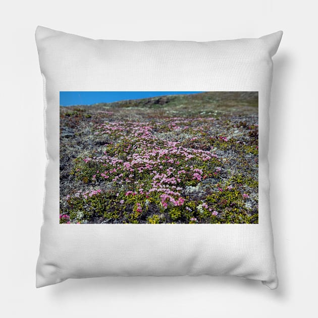 Petite Flowers of the Tundra Pillow by andykazie