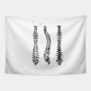 Human Spine Tapestry