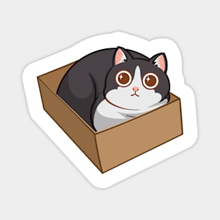 Cat in the box Magnet