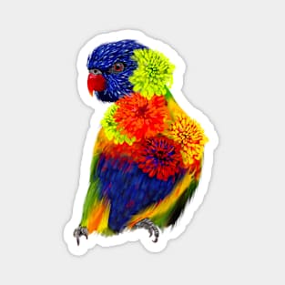 Rainbow Lorikeet + Zinna's Magnet