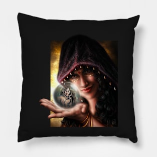 The Clairvoyant Pillow