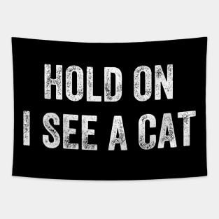 Hold On I See A Cat, Funny Cat Lovers Tapestry