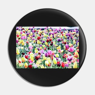 Tulips Pin