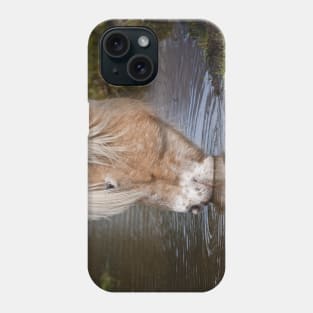 Horse Drinking Water Phone Case