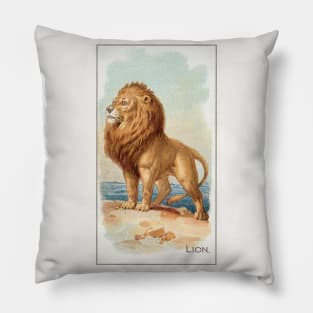 Lion (1890) Pillow