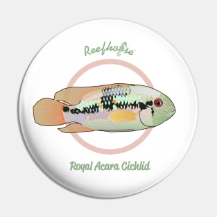 Royal Acara Cichlid Pin