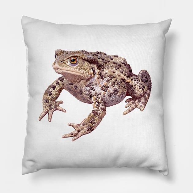 Common Toad Pillow by kokayart