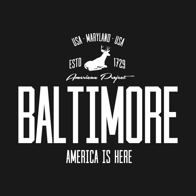 USA, America, Baltimore, Maryland by NEFT PROJECT