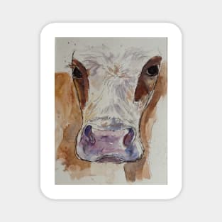 Ayrshire cow portrait. Magnet