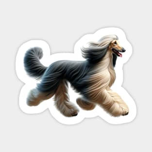 Afghan Hound Magnet