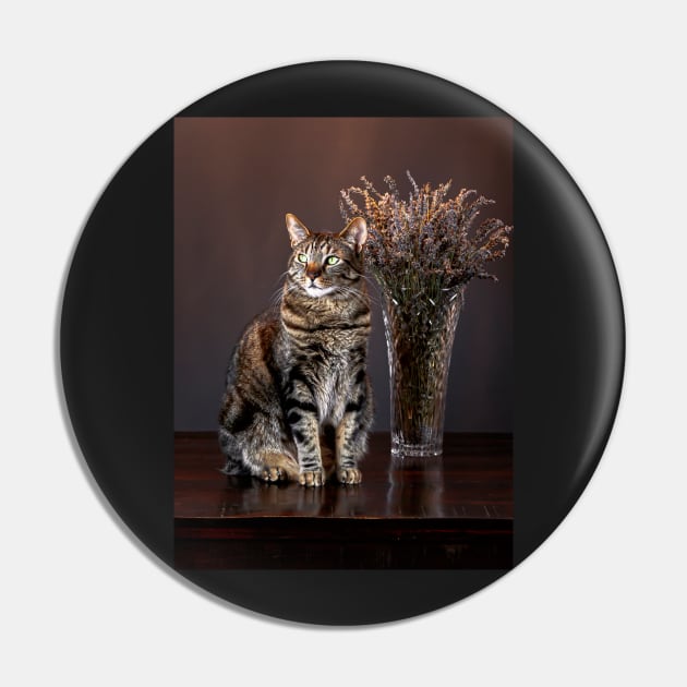 Cat and a vase of dried lavender Pin by blossomcophoto