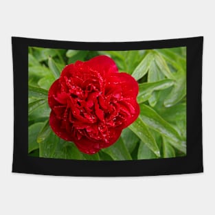 Red Peony Tapestry