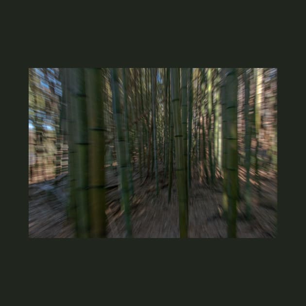 Bamboo Blur by Ckauzmann