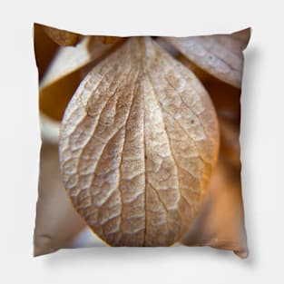 Hydrangea Petal in Fall Pillow
