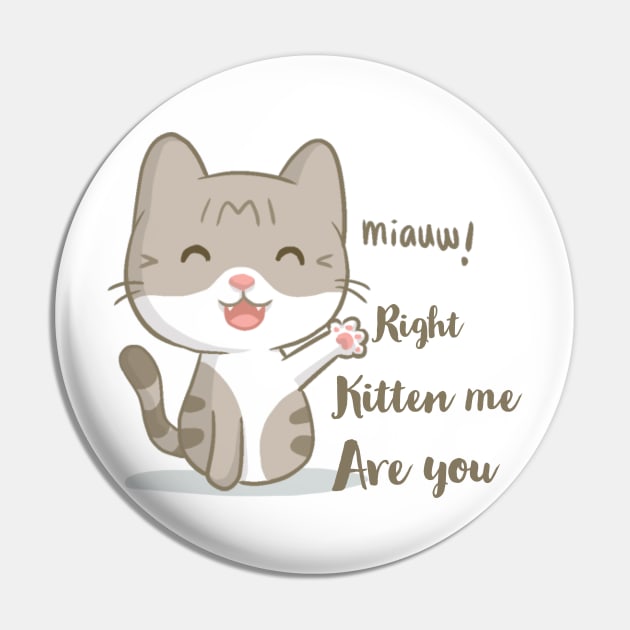 Are you kitten me right meow Pin by kirkomed