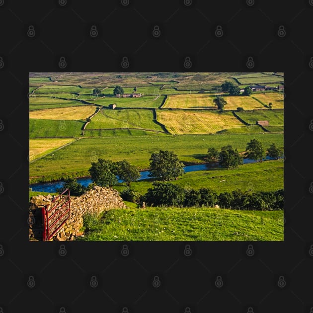 Yorkshire Dales Landscape by MartynUK