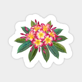 Blooming Pink Plumeria Magnet