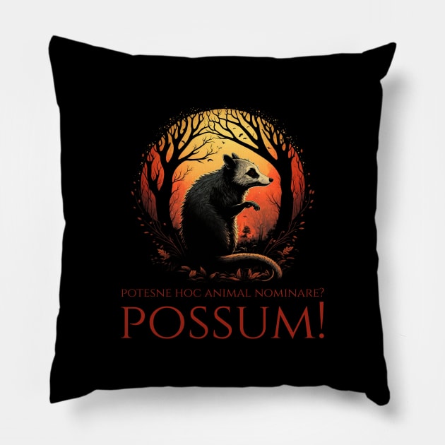 Potesne Hoc Animal Nominare? Possum! - Classical Latin Pun Meme Pillow by Styr Designs