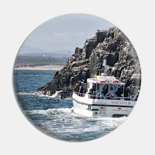 Serenity III Farne Islands tour boat moves near a Guillemot colony Pin