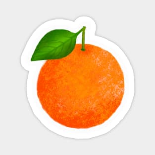 Florida orange Magnet