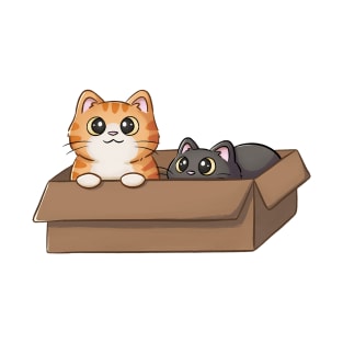 Cute Orange Cat And Black Cat In Box T-Shirt