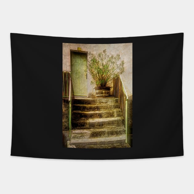 Steps To The Front Door Tapestry by IanWL