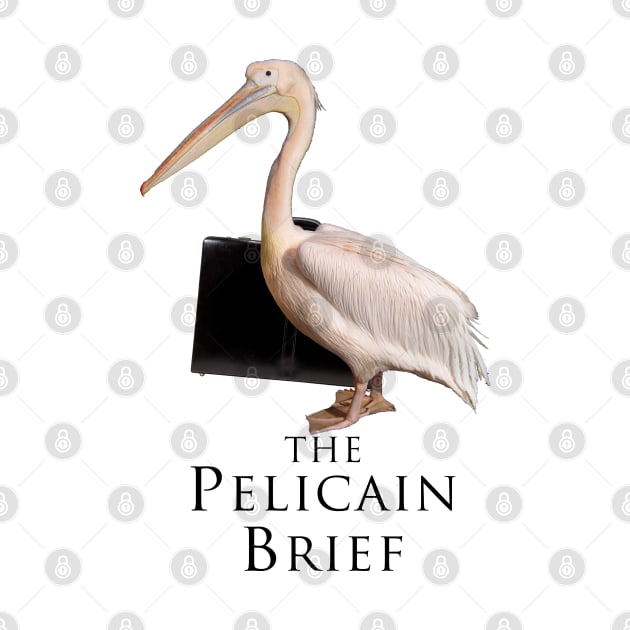 wrong pelican brief by jonah block