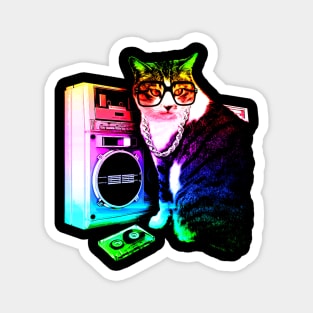 Rainbow Boombox Cat Magnet