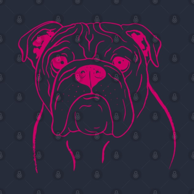 English Bulldog (Pink and Raspberry) by illucalliart