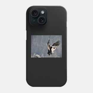 Pérou - canyon de colca, Condor Phone Case