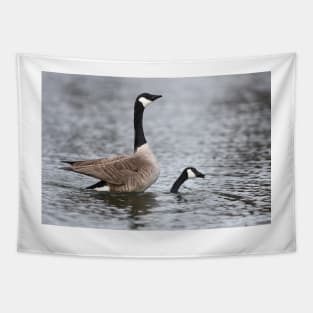 "Weeeeeeeee!!!!" Canada Geese Tapestry