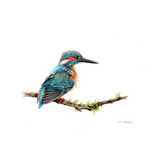 Kingfisher by sarahstribb