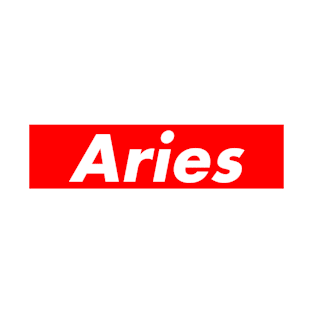 Aries T-Shirt