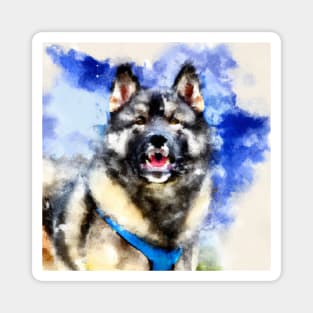 Norwegian Elkhound Watercolor - Dog Lover Gifts Magnet