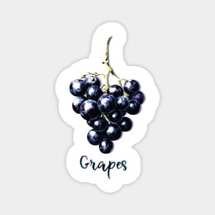 Fruit Identity, Grapes Magnet