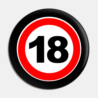 18th Birthday Gift Road Sign Finally Adult Pin