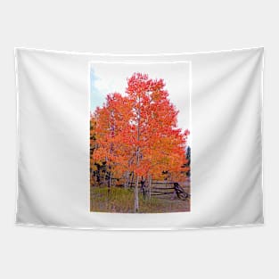 Colorado Aspens Study 33 Tapestry