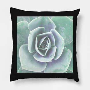 Plant print, pastel mint green Houseleek Pillow