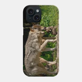 Timber Wolves With Pup Phone Case