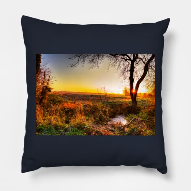 Sunrise Down By The Stream Pillow by tommysphotos