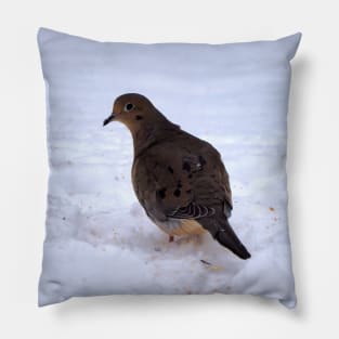 Watchful Winter Mourning Dove On The Snow Pillow